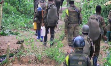 Nord - Kivu : au moins 17 civils tués lors des attaques des ADF à Beni et Irumu