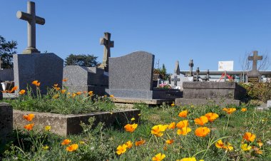 Nord-Kivu : le cimetière de Ngabiro joli bois à Goma en cours de spoliation ?