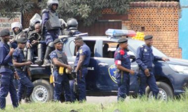 Des criminels agissent sous le label panthère noire (Peter Kazadi)