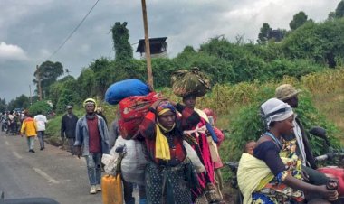 Ituri : près de la moitié de la population est déplacée