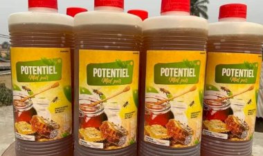 Potentiel Miel pur, le meilleur choix pour votre bien être