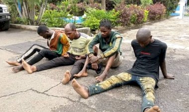 Meurtre du journaliste Patrick Adonis Numbi: 4 présumés assassins aux arrêts