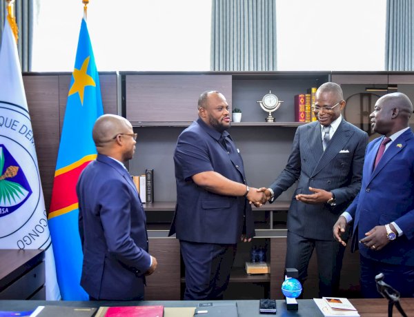 Kinshasa : des émissaires du maire de Brazzaville reçus par le gouverneur Daniel Bumba