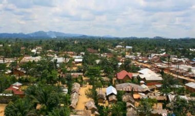 Sud-Kivu: Dégradation de la situation sociale et économique à Shabunda, la population lance un cri d'alarme