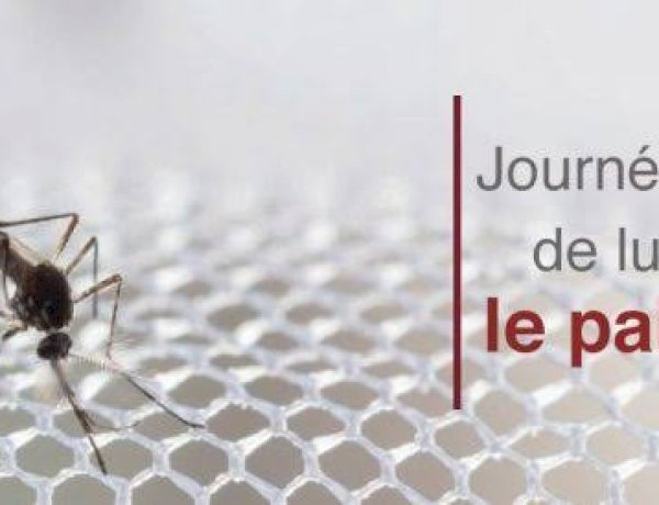 Lutte contre le paludisme: voici les stratégies utilisées par la RDC pour combattre cette pathologie dangereuse