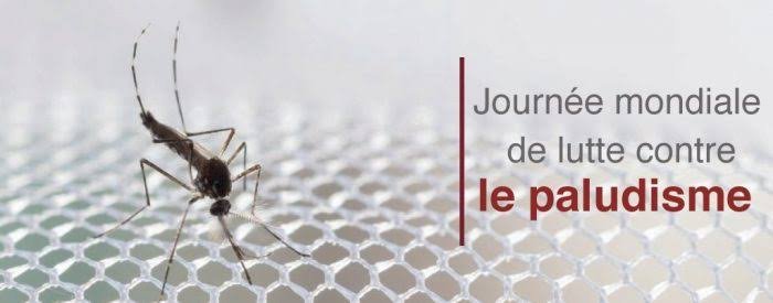 Lutte contre le paludisme: voici les stratégies utilisées par la RDC pour combattre cette pathologie dangereuse